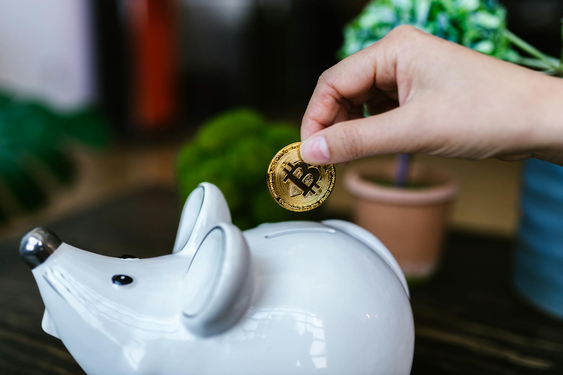 Bitcoin retreats to around $71,000 amid a flourishing software industry.