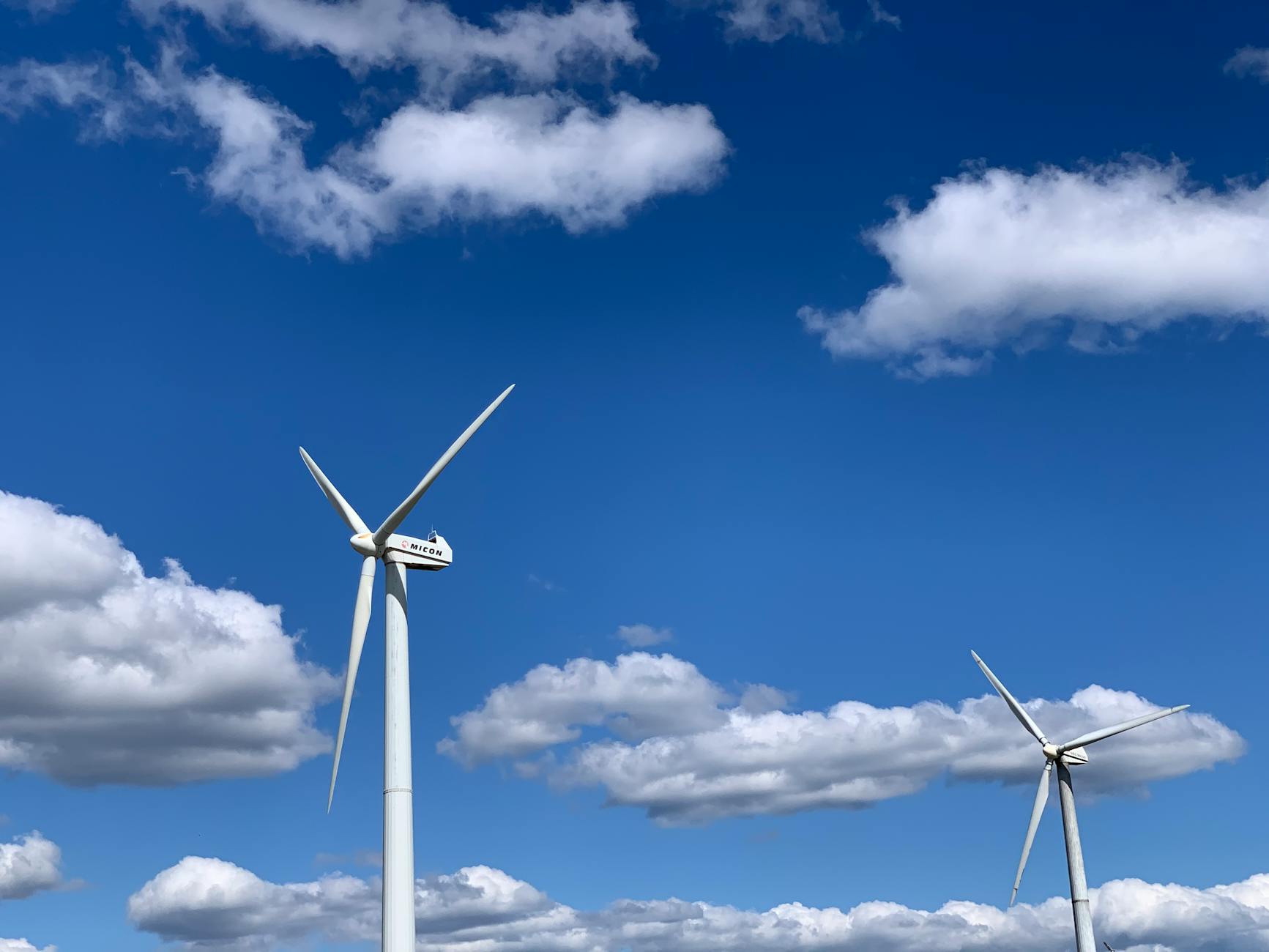 SHIB Experiences a 5% Decline, Yet Maintains Stability Thanks to Devoted Investors