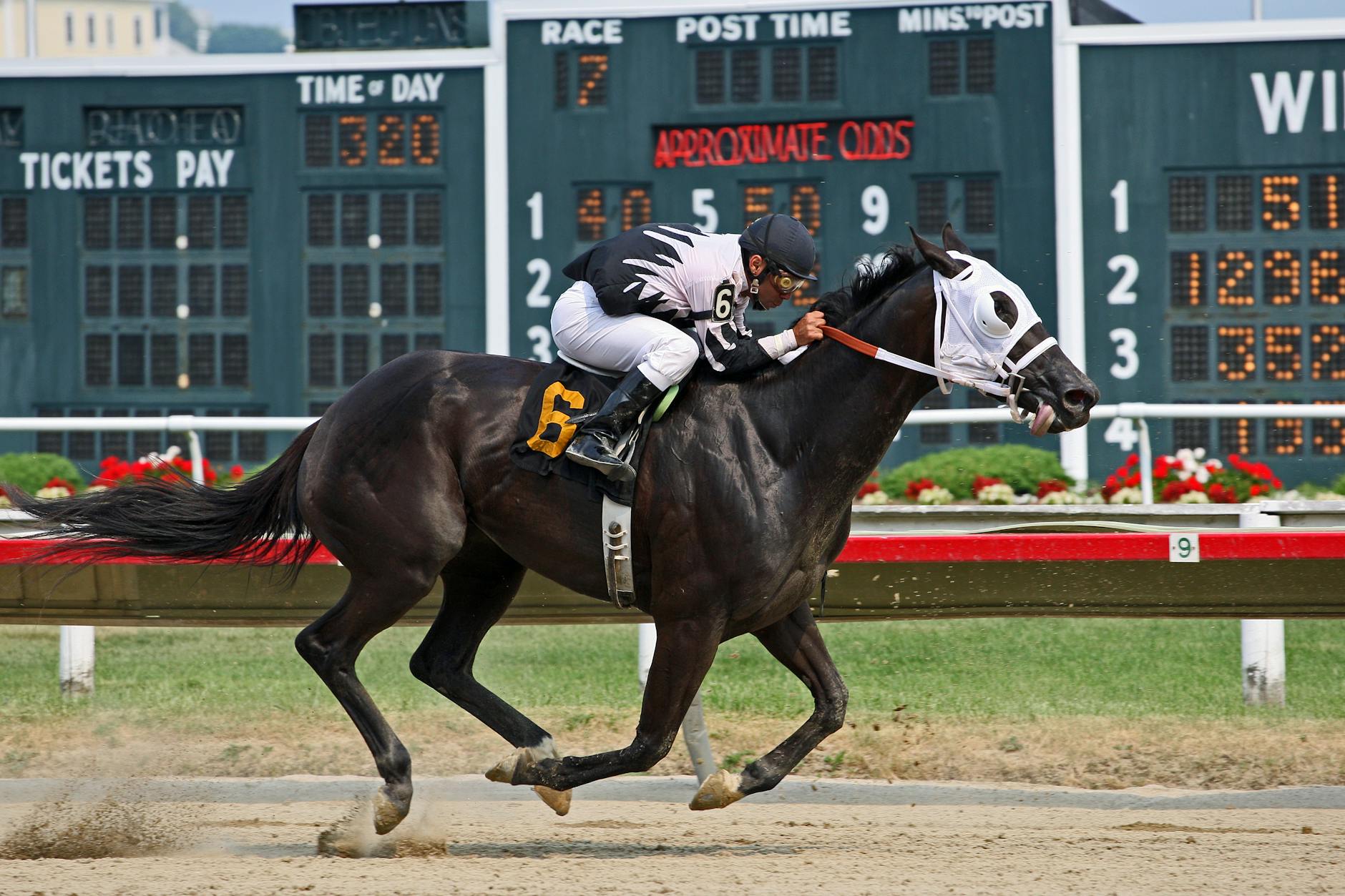 Rozier's legal team counters new allegations in ongoing sports betting litigation.